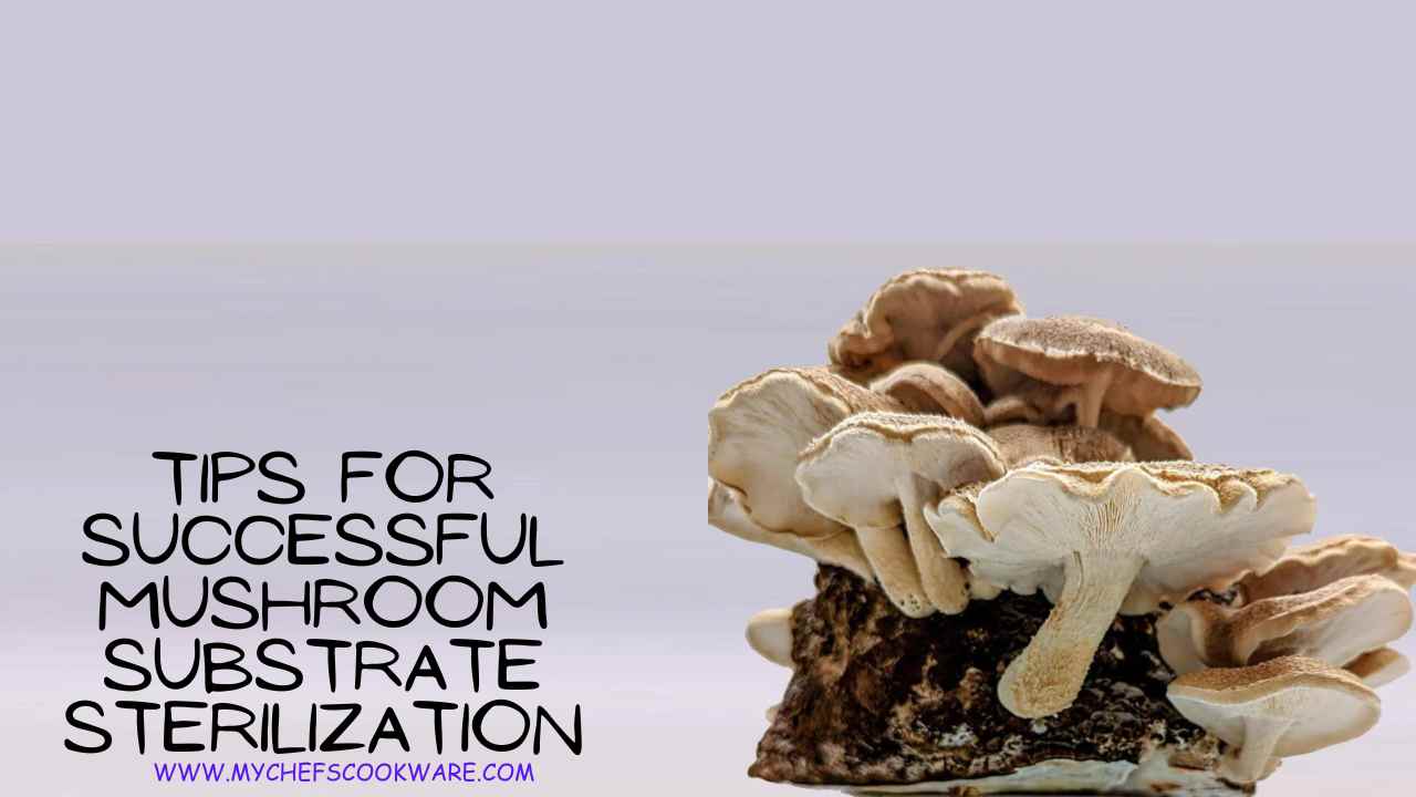 Tips for Successful Mushroom Substrate Sterilization
