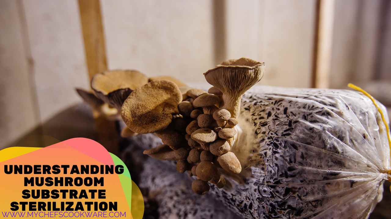 Understanding Mushroom Substrate Sterilization